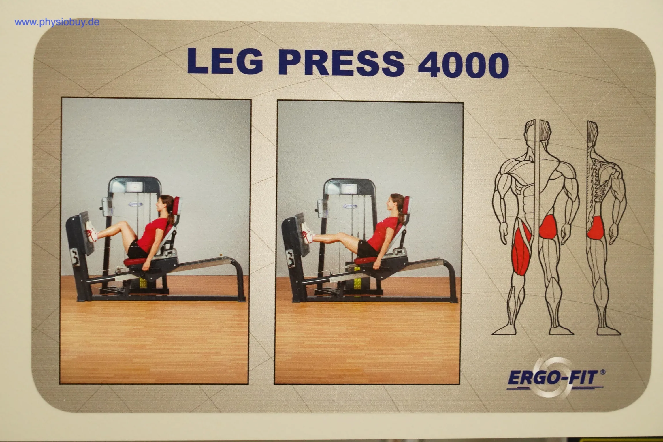 Bedien- und Übungshinweise Leg Press 4000 mit Fotos und Muskeldiagramm am Ergo-Fit-Gerät