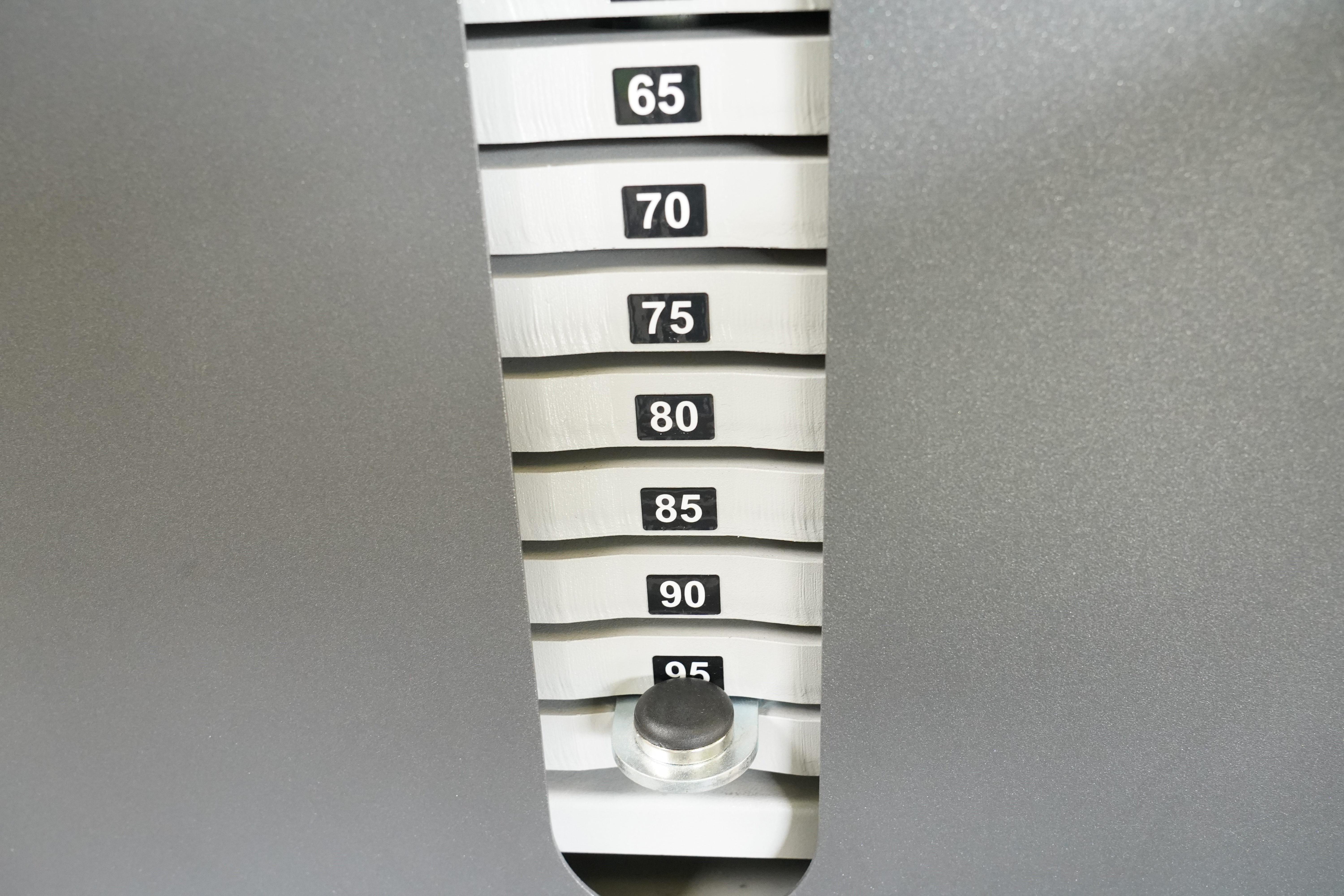 SVG RehaLine 2.0 KG-Gerätesatz: Gewichtsblock mit Zahlen von 65 bis 95 und Steckstift in der Nähe der Zahl 95