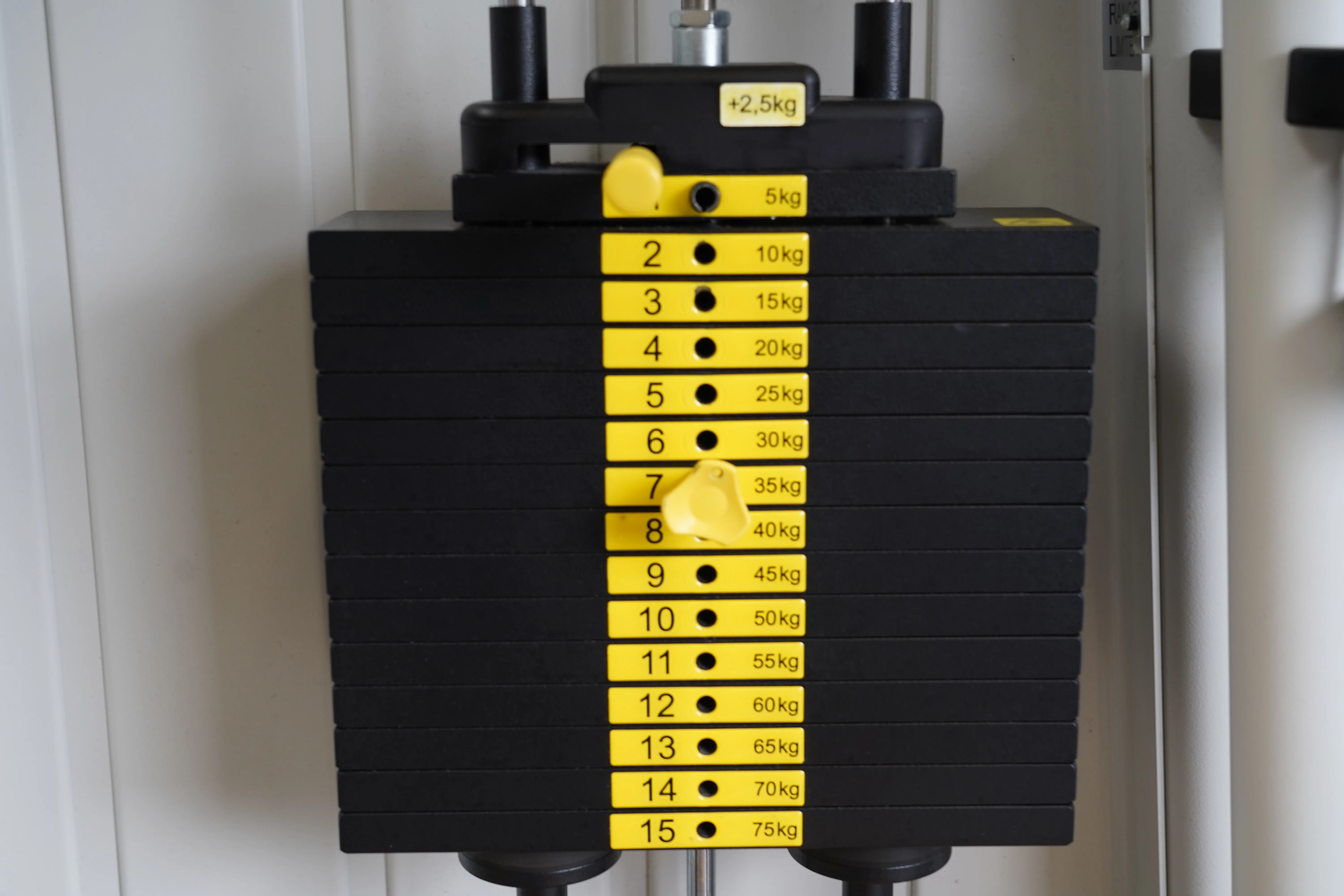 Gewichtsstapel mit Kilogramm-Markierungen 5 bis 75 kg am Ergo-Fit 4100S Gerätepark