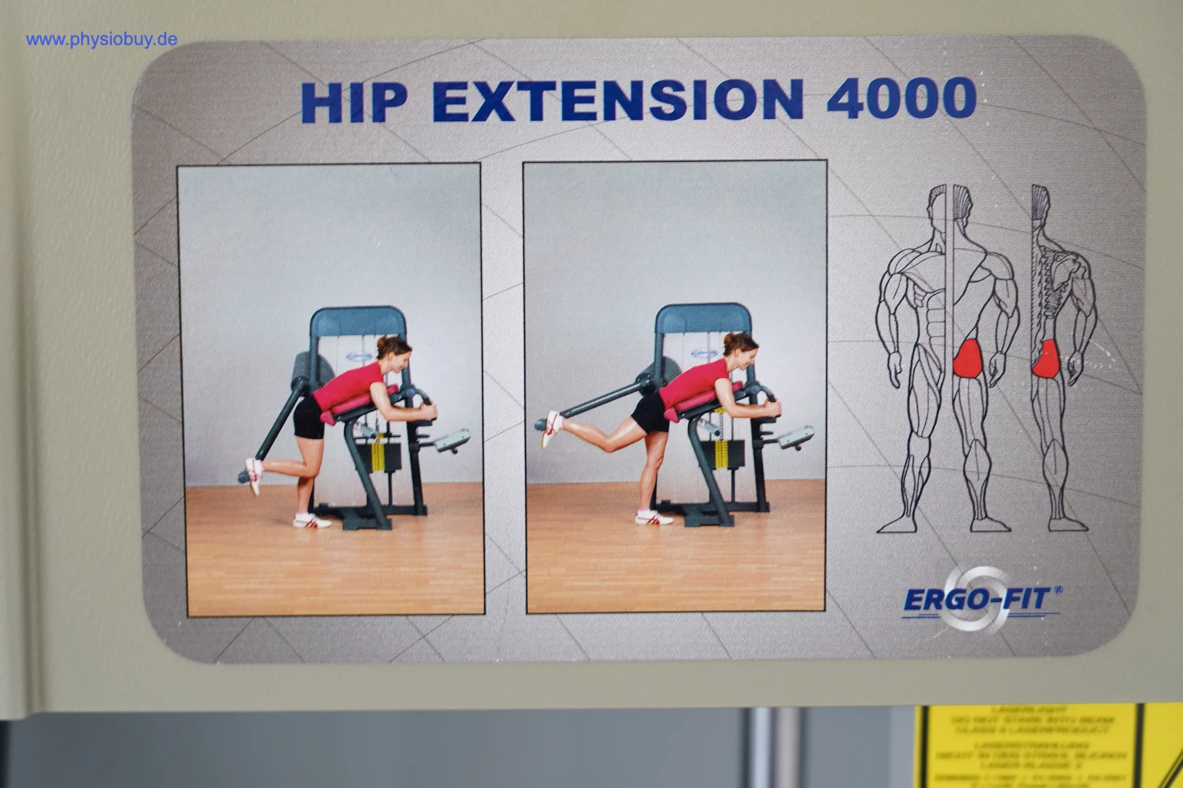 Übungsanleitung Hip Extension 4000 von Ergo-Fit mit Bildern und Muskelgruppen-Grafik