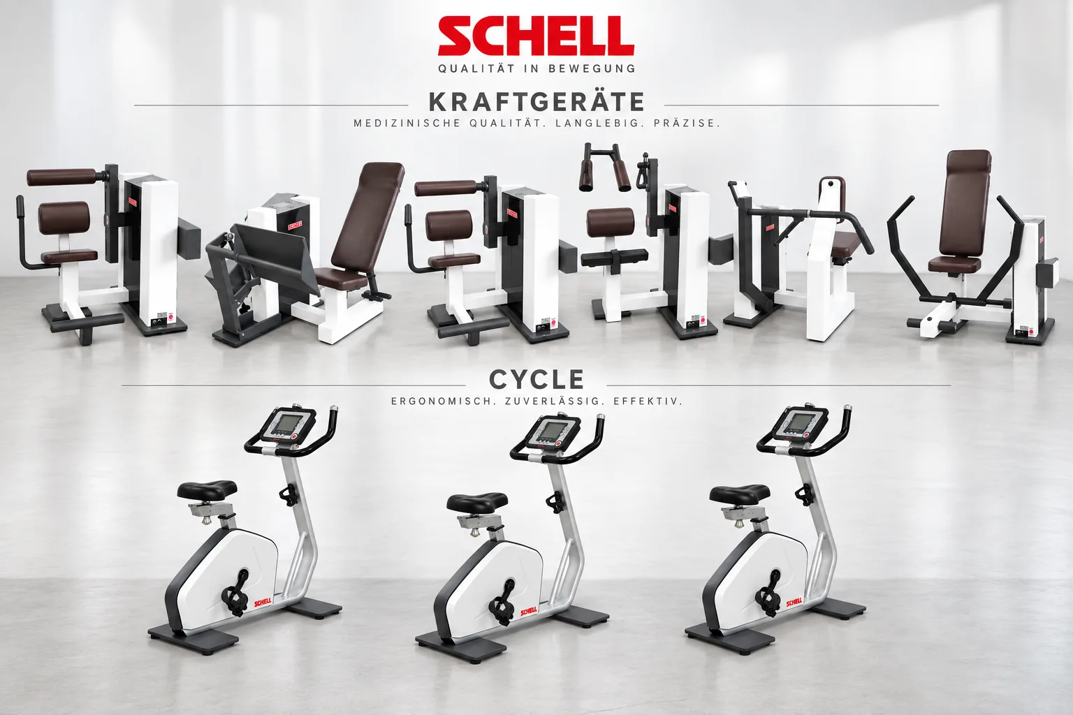 Schnell Synchro Zirkel Kraft plus Cardio und PC-Einheit aus 2016 - gebraucht