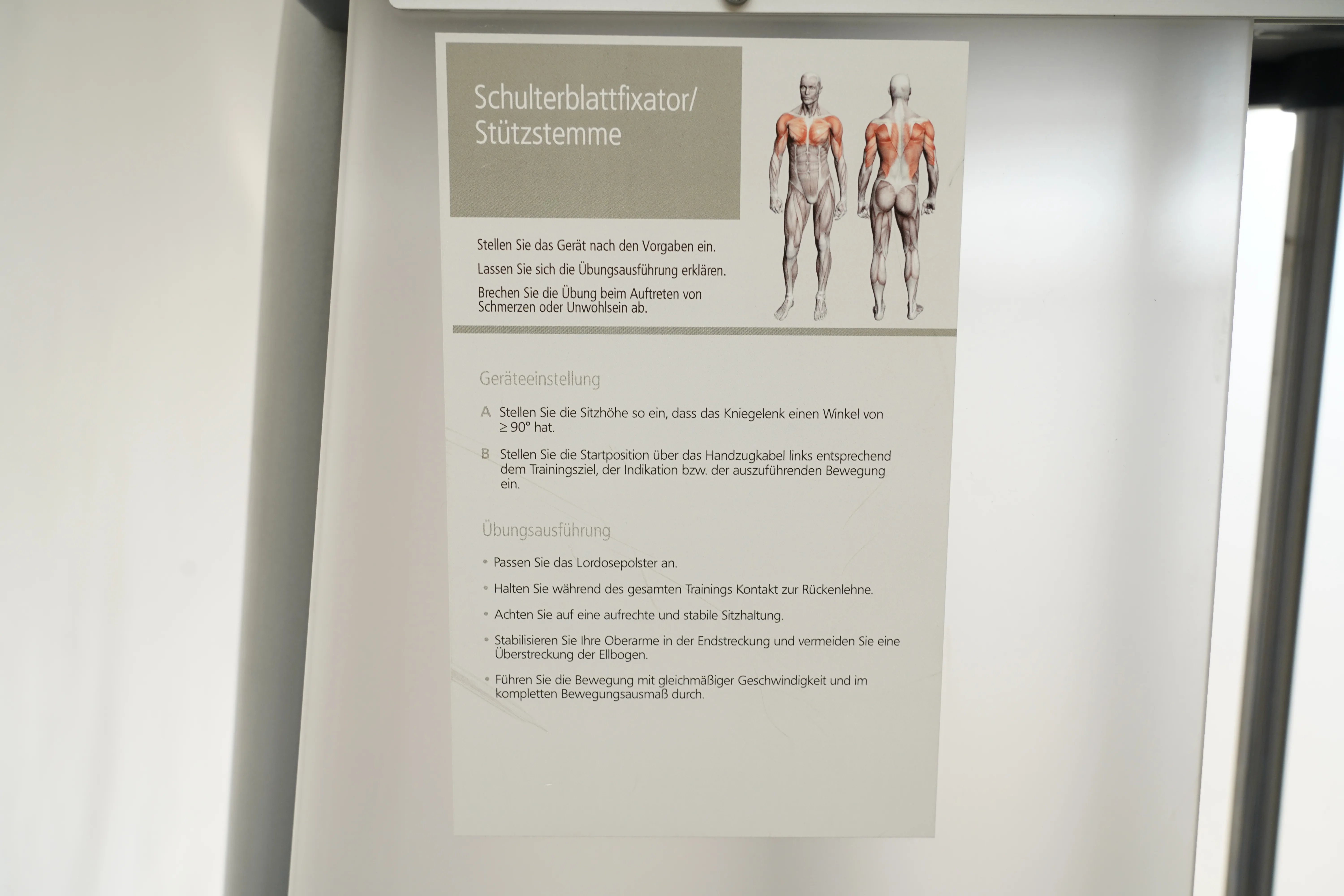 Proxomed Compass 530: Anleitungstafel Schulterblattfixator/Stützstemme mit Körperabbildung und markierten Muskeln
